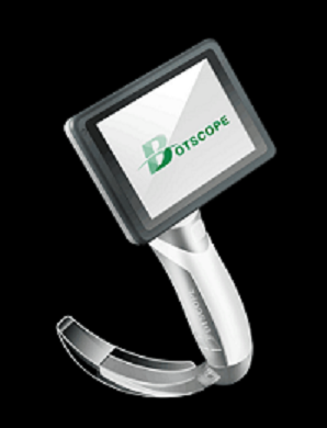 ������Ƶ����